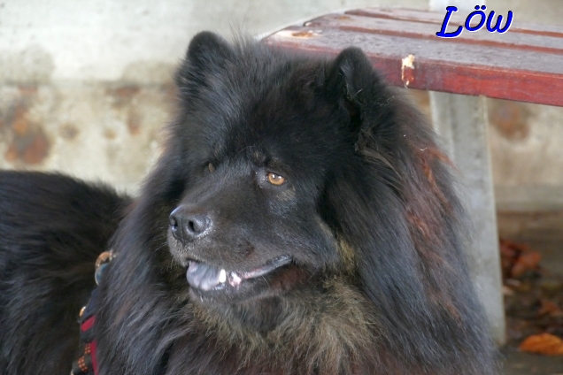 20.4.2025 - Soviel Luft